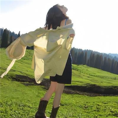 隋唐英雄传